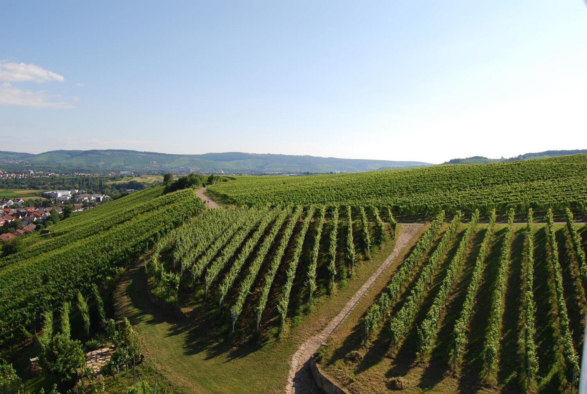Unter Der Yburg Stetten Stetten  Luaran gambar