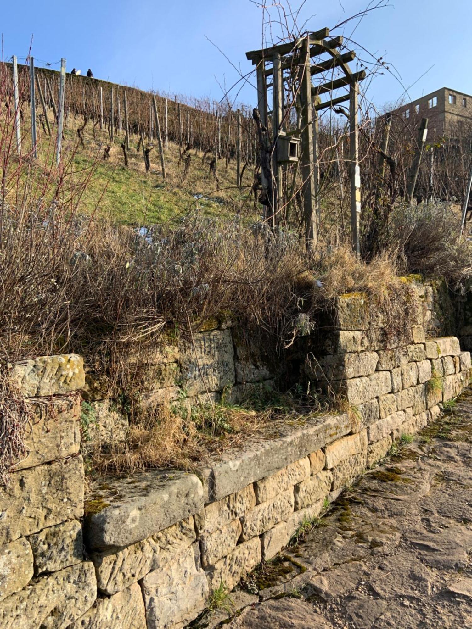 Unter Der Yburg Stetten Stetten  Luaran gambar